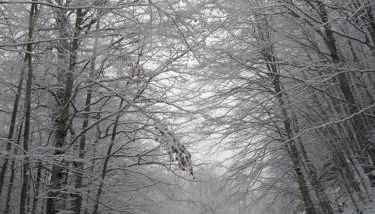 Chalet del Lago Laceno - Foto 4