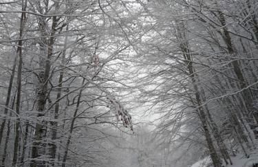 Chalet del Lago Laceno - Foto 4