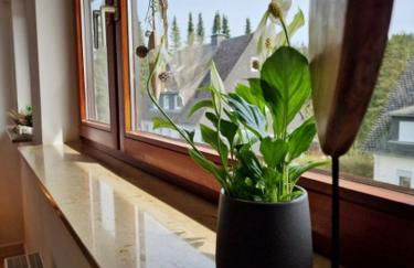 Fewo NATURgeTREU - Foto 43