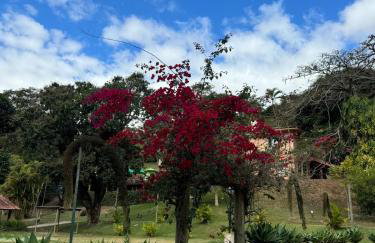 Solar dos Eucaliptos - Casa de Temporada - 4 Quartos - Foto 60