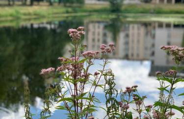 EUROPA22 Apartament z tarasem - CENTRUM MIASTA Tomaszów Maz - Foto 18