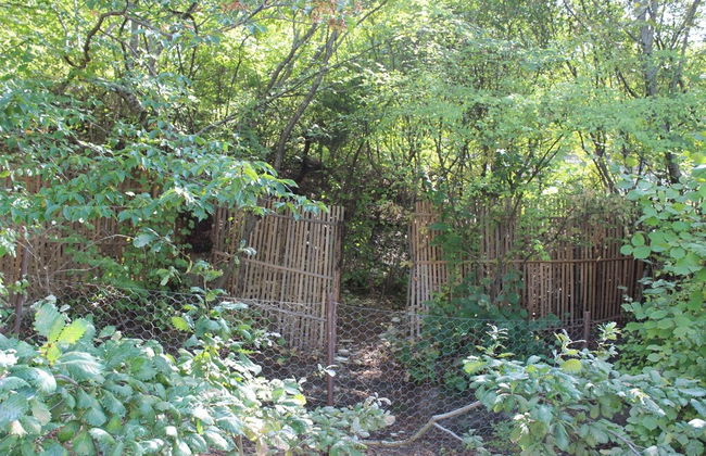 Guba Panoramic Villa - Foto 56