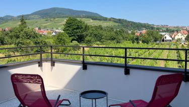 La Terrasse du Vignoble - Garage et parking privatifs - Foto 3