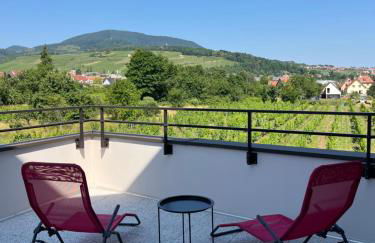 La Terrasse du Vignoble - Garage et parking privatifs - Photo 3