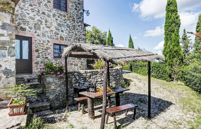 Coccinella n°6 - Foto 12