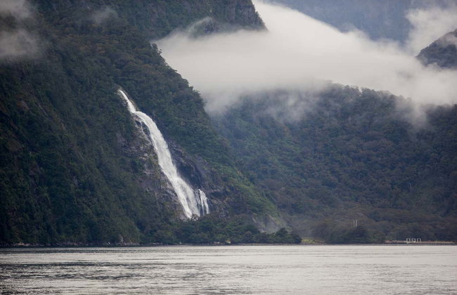 Excursión al fiordo Milford Sound - Foto 6