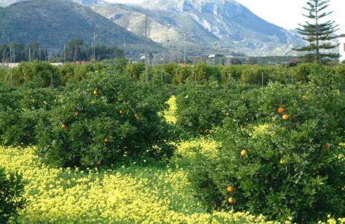 Villa in Monte Pego near Stunning Beaches - Foto 29