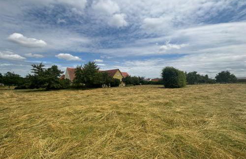 Ferienhof Hirsch - Foto 29