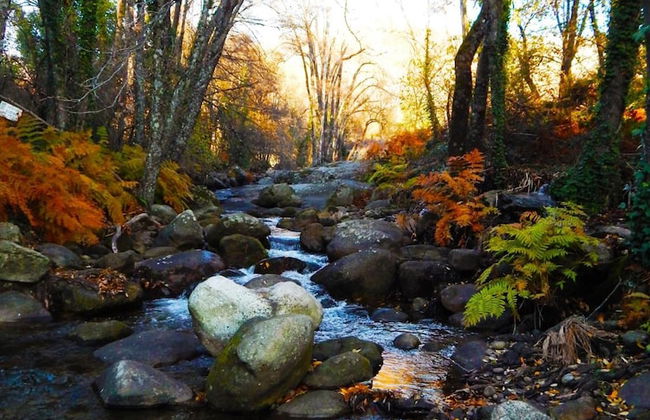 Casa Rural Parada Real - Foto 41