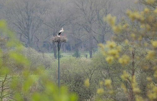 Villa Wolter - Foto 1
