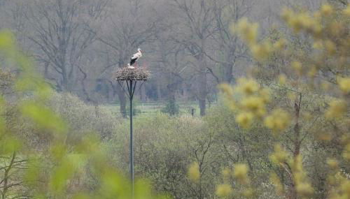 Villa Wolter - Photo 1