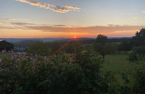 Landhaus Weber - Foto 54