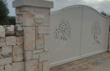 Domus Petri 1908 - Foto 59