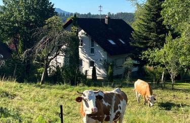 Landhaus-Villa auf dem Berg - Foto 41