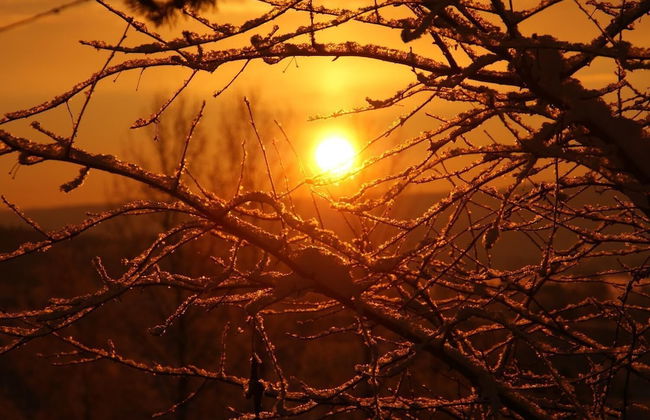Finnskogen Turistsenter - Photo 21