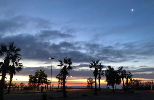 villa cinco palmas - Foto 54