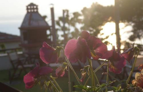 Smaragdi Luxury Apartments - Photo 7