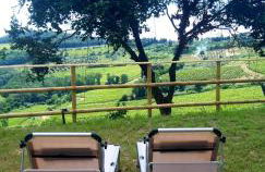 Casa Gilda - Foto 34