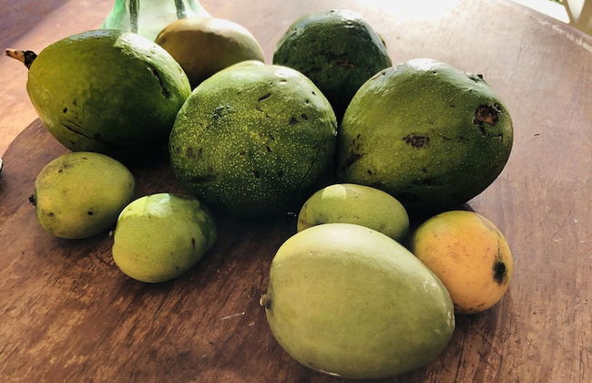 Castara Inn - Photo 13