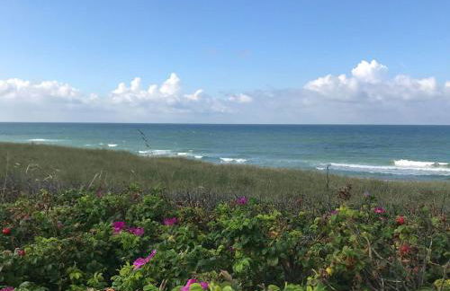Ocean-View, Holiday Apartment Sylt - Foto 33