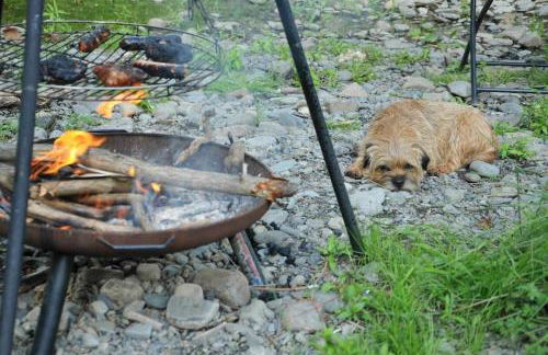 The Boatshed at Camp Plas - Photo 49