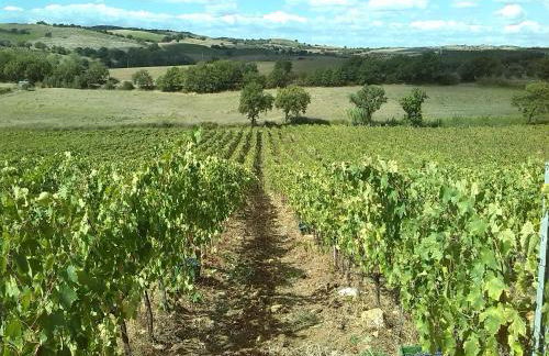 Agriturismo Pian dei Pini - Foto 15