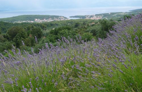 Hvar Architect's House - Photo 22