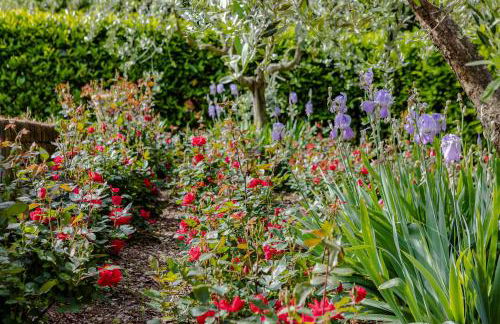 Villa Lolù - Photo 54