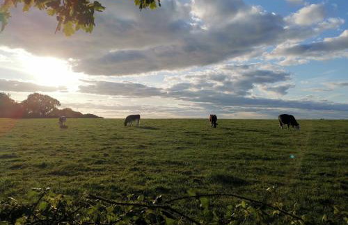 Sunnycott Caravan Park - Foto 71