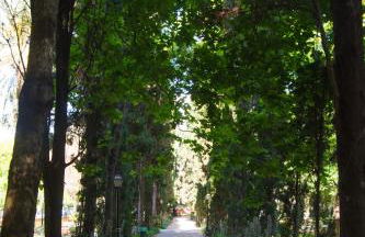 Edificio Ramiro - Photo 39