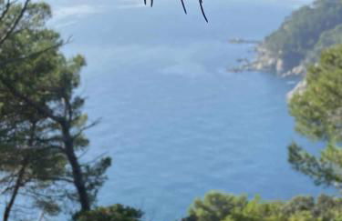 Espiga, Cala privada Tossa de Mar - Foto 17