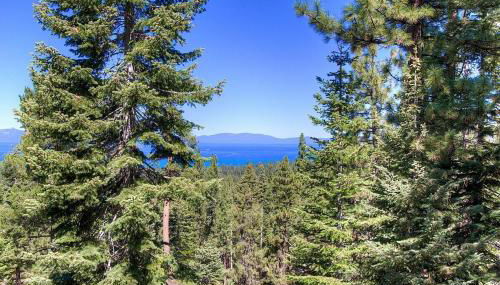 HCH1239 - Heavenly Tree House home - Foto 3