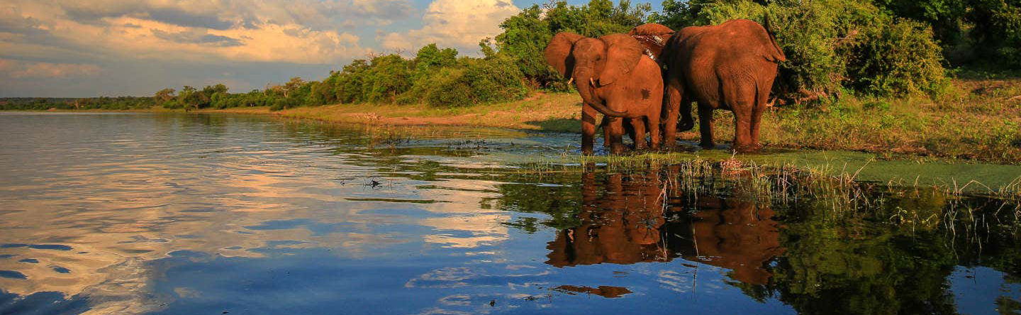 Safari privado por el Parque Nacional Kruger