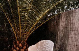 Casa Mila with heated pool in El Roque - Foto 16