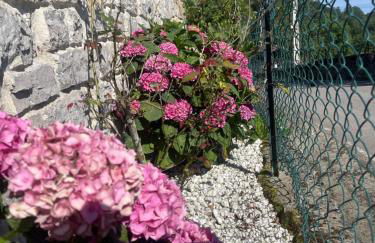 Vete Polo Segau, Seguencu - Foto 49