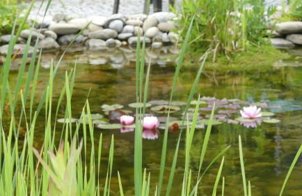 Ferienwohnung Mittl - Foto 15