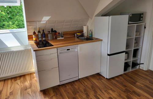 Dachgeschosswohnung 1 - Apartments am Schloss - Foto 6