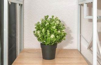 Motel Kalos - Foto 39