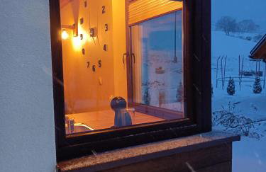 Lisia Norka - Foto 29