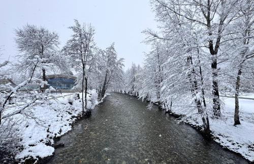 Appartement neuf T3 avec jardin au bord du lac - Foto 26