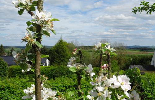 Deine-Eifel-Ferienwohnung - Foto 49