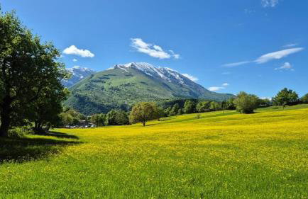 La casetta dello Zio - Photo 30