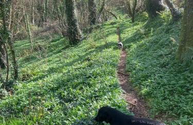 The Lambing Shed, Converted Barn nr Little Haven - Foto 21