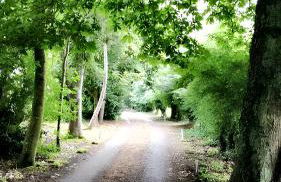 Maison cosy à Pontorson avec jardin clos et terrasse - Foto 12