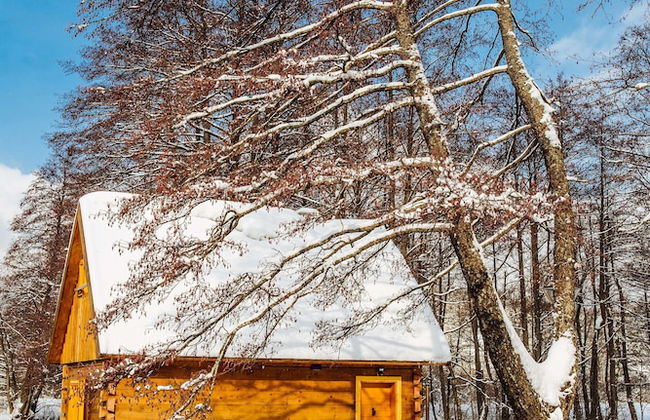 Vodenica Vrelo Chalets - Photo 47