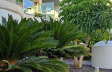 Casa Martin - Foto 19