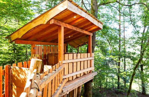 La Cabane dans les arbres du Domaine de la Forestière - Foto 7