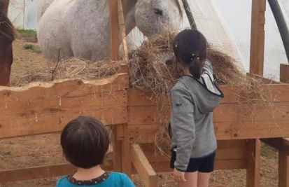 casa rural larre aundi - Foto 46