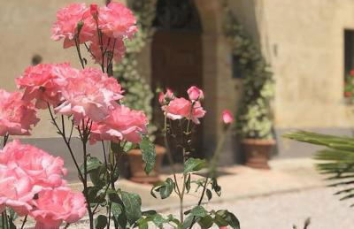 "Villa Bizzi" - Photo 14