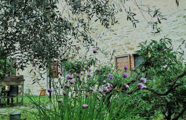 "Il Pollaio" guests house - Foto 60